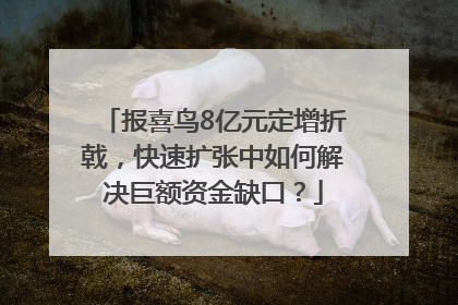 报喜鸟8亿元定增折戟，快速扩张中如何解决巨额资金缺口？