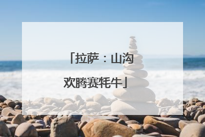 拉萨：山沟欢腾赛牦牛
