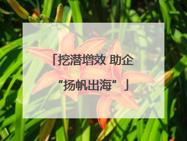 挖潜增效 助企“扬帆出海”