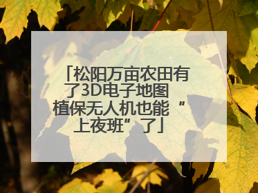 松阳万亩农田有了3D电子地图 植保无人机也能“上夜班”了