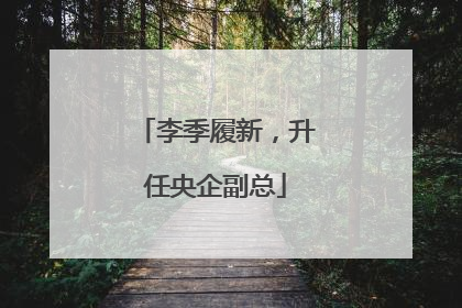 李季履新，升任央企副总