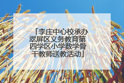 李庄中心校承办翠屏区义务教育第四学区小学数学骨干教师送教活动