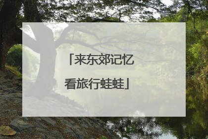 来东郊记忆 看旅行蛙蛙