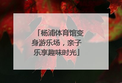 杨浦体育馆变身游乐场，亲子乐享趣味时光