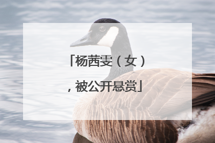 杨茜雯（女），被公开悬赏
