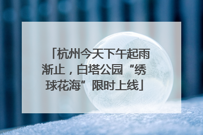 杭州今天下午起雨渐止，白塔公园“绣球花海”限时上线