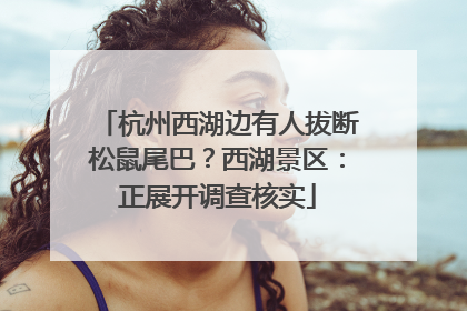 杭州西湖边有人拔断松鼠尾巴？西湖景区：正展开调查核实