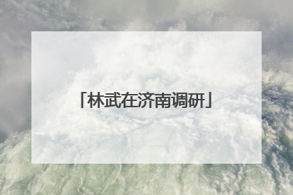 林武在济南调研