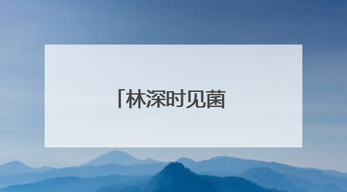 林深时见菌 味浓处是宴 晋宁菌宴正飘香