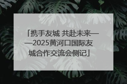 携手友城 共赴未来——2025黄河口国际友城合作交流会侧记