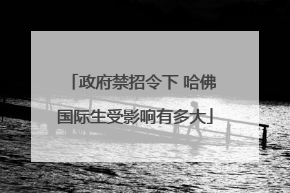 政府禁招令下 哈佛国际生受影响有多大