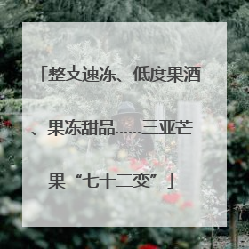 整支速冻、低度果酒、果冻甜品……三亚芒果“七十二变”