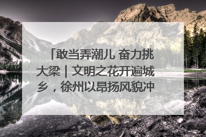敢当弄潮儿 奋力挑大梁｜文明之花开遍城乡，徐州以昂扬风貌冲刺“万亿之城”