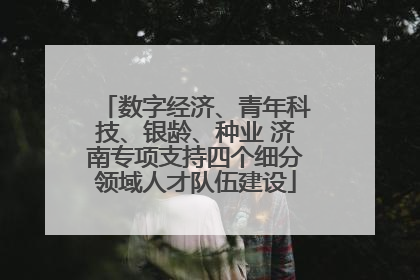 数字经济、青年科技、银龄、种业 济南专项支持四个细分领域人才队伍建设
