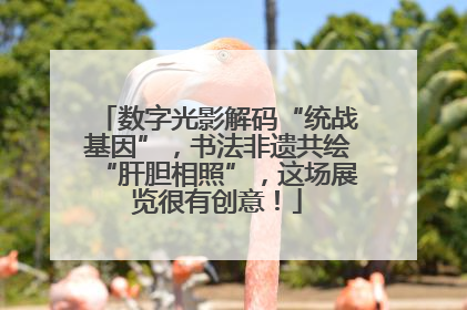 数字光影解码“统战基因”，书法非遗共绘“肝胆相照”，这场展览很有创意！