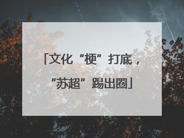 文化“梗”打底，“苏超”踢出圈