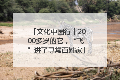 文化中国行丨2000多岁的它，“飞”进了寻常百姓家