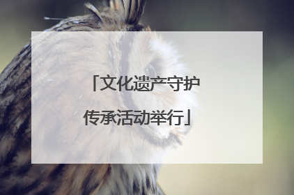 文化遗产守护传承活动举行