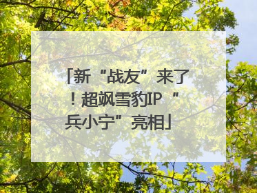 新“战友”来了！超飒雪豹IP“兵小宁”亮相