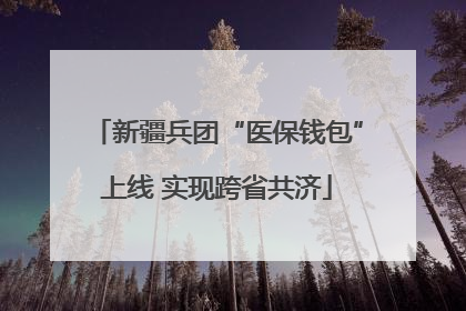 新疆兵团“医保钱包”上线 实现跨省共济