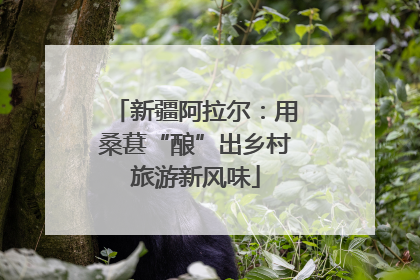 新疆阿拉尔：用桑葚“酿”出乡村旅游新风味