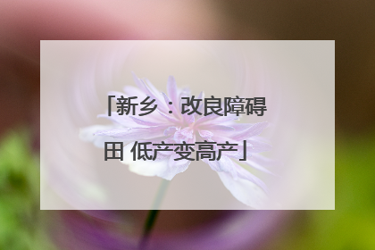 新乡：改良障碍田 低产变高产