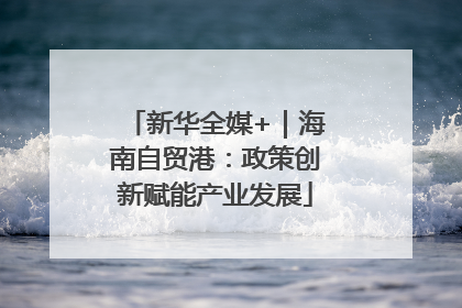 新华全媒+｜海南自贸港：政策创新赋能产业发展
