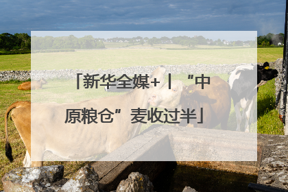 新华全媒+丨“中原粮仓”麦收过半