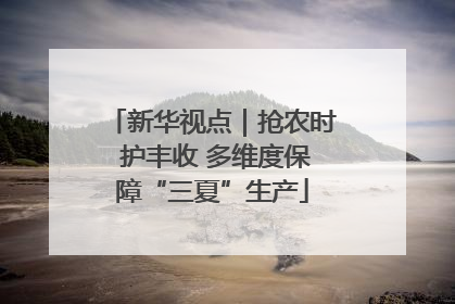 新华视点｜抢农时 护丰收 多维度保障“三夏”生产