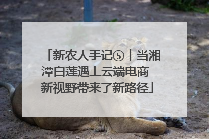 新农人手记⑤丨当湘潭白莲遇上云端电商 新视野带来了新路径