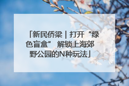 新民侨梁｜打开“绿色盲盒” 解锁上海郊野公园的N种玩法