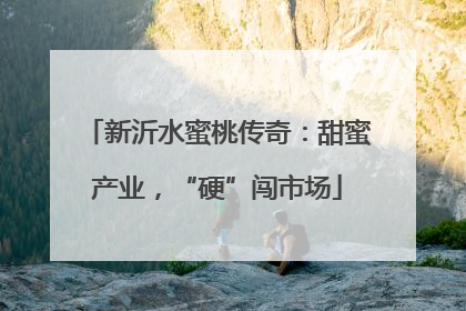 新沂水蜜桃传奇：甜蜜产业，“硬”闯市场