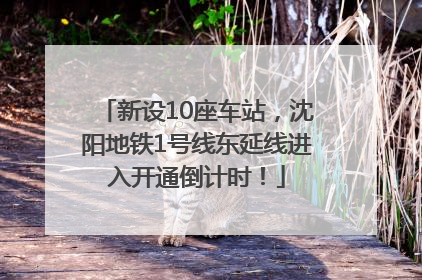 新设10座车站，沈阳地铁1号线东延线进入开通倒计时！