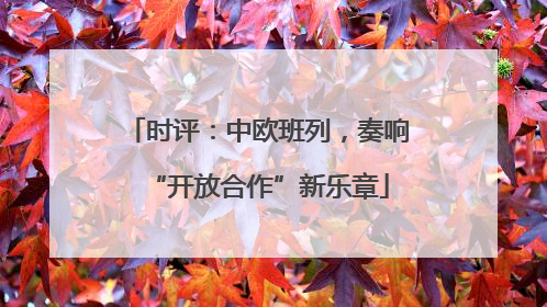 时评：中欧班列，奏响“开放合作”新乐章
