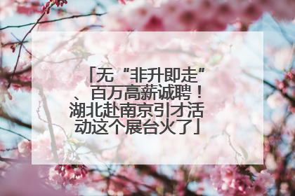 无“非升即走”、百万高薪诚聘！湖北赴南京引才活动这个展台火了