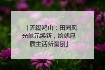 无锡鸿山：田园风光单元焕新，绘就品质生活新图景