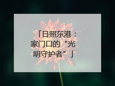 日照东港：家门口的“光明守护者”