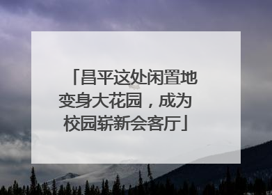 昌平这处闲置地变身大花园，成为校园崭新会客厅