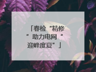 春检“精修”助力电网“迎峰度夏”