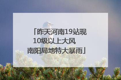 昨天河南19站现10级以上大风  南阳局地特大暴雨