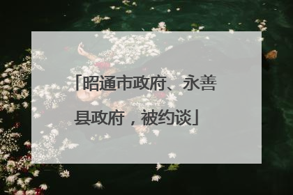 昭通市政府、永善县政府，被约谈