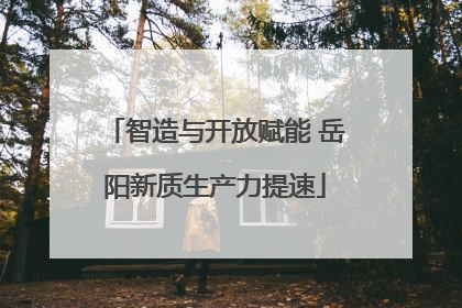 智造与开放赋能 岳阳新质生产力提速