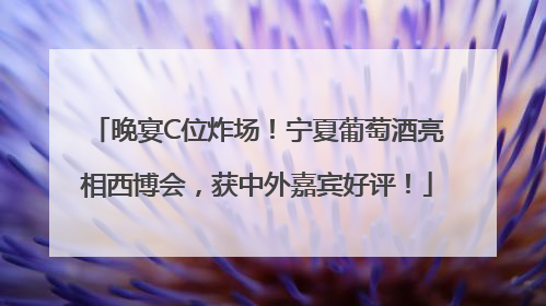 晚宴C位炸场！宁夏葡萄酒亮相西博会，获中外嘉宾好评！