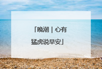 晚潮｜心有猛虎说早安