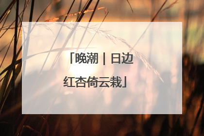 晚潮｜日边红杏倚云栽