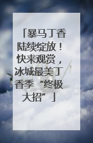 暴马丁香陆续绽放！快来观赏，冰城最美丁香季“终极大招”