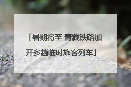 暑期将至 青藏铁路加开多趟临时旅客列车