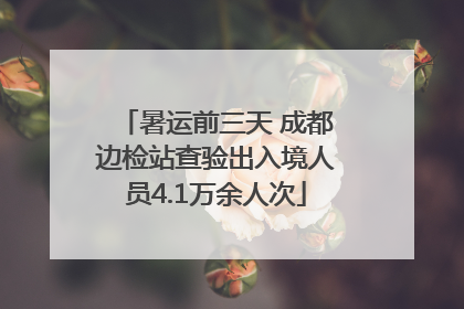 暑运前三天 成都边检站查验出入境人员4.1万余人次