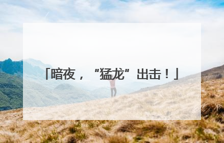暗夜，“猛龙”出击！