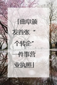 曲阜颁发首张“个转企”一件事营业执照